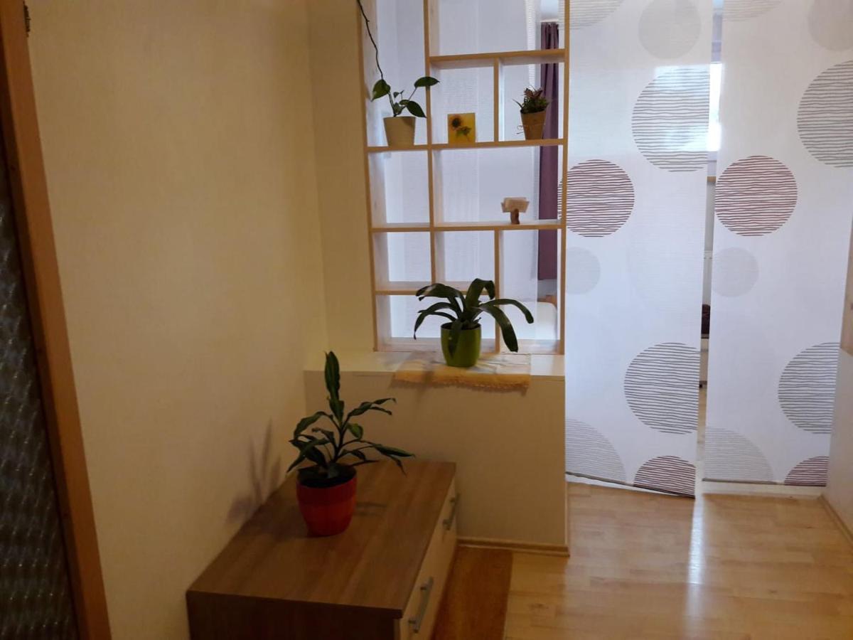 Ferienwohnung Brandstatter Windischgarsten Ngoại thất bức ảnh